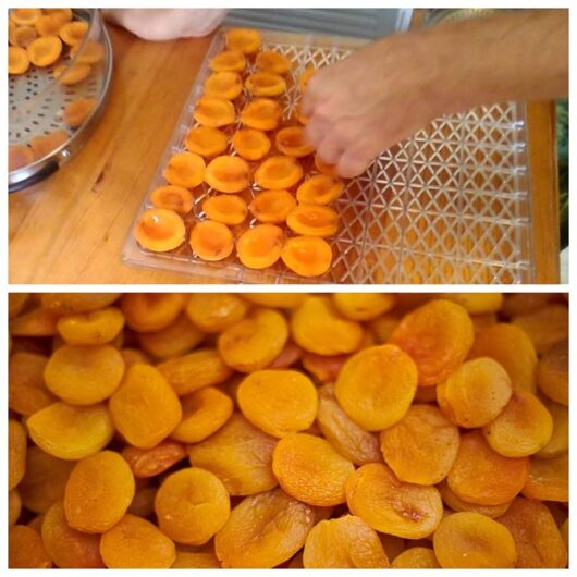 خشک-کردن-زردآلو